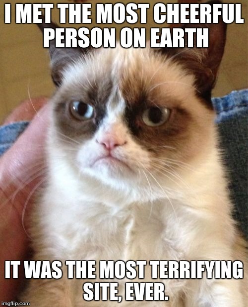 Grumpy Cat | I MET THE MOST CHEERFUL PERSON ON EARTH; IT WAS THE MOST TERRIFYING SITE, EVER. | image tagged in memes,grumpy cat | made w/ Imgflip meme maker