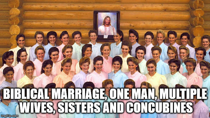 Biblical marriage | BIBLICAL MARRIAGE, ONE MAN, MULTIPLE WIVES, SISTERS AND CONCUBINES | image tagged in jesus christ,marriage,polygyny,abominable | made w/ Imgflip meme maker