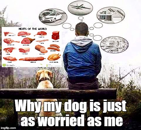 Why my dog is just as worried as me | Why my dog is just as worried as me | image tagged in dog,happy,why your dog is happier | made w/ Imgflip meme maker