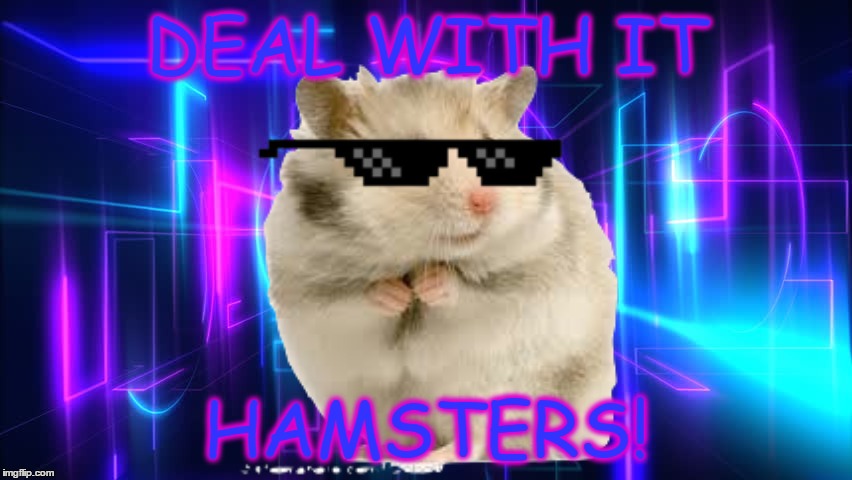 Deal with The Hamster | DEAL WITH IT; HAMSTERS! | image tagged in deal with it,hamsters,electro | made w/ Imgflip meme maker