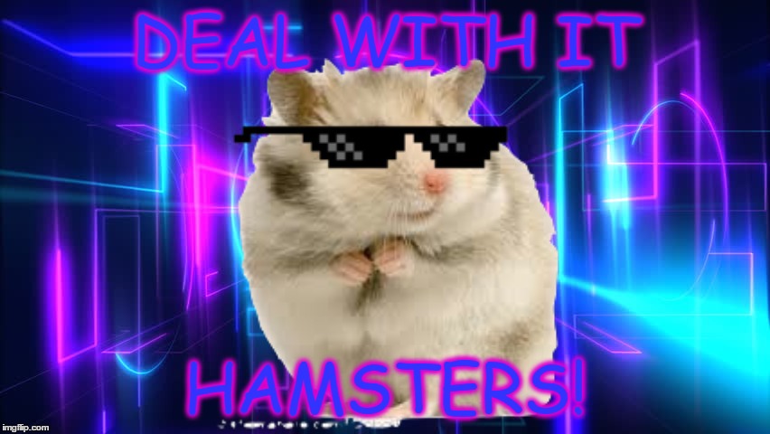 Hamster Cult Meme Pfp Editor - Tiny Hamster | Know Your Meme - Hamster