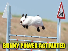 BUNNY POWER ACTIVATED | made w/ Imgflip meme maker