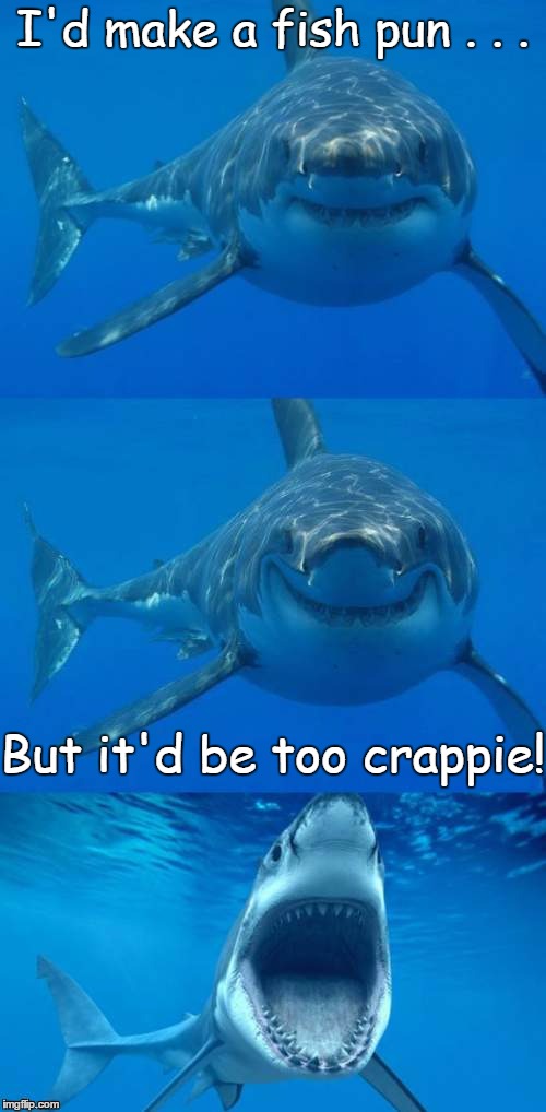 Bad Shark Pun  | I'd make a fish pun . . . But it'd be too crappie! | image tagged in bad shark pun | made w/ Imgflip meme maker