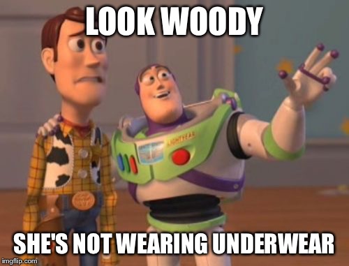 X, X Everywhere Meme | LOOK WOODY; SHE'S NOT WEARING UNDERWEAR | image tagged in memes,x x everywhere | made w/ Imgflip meme maker