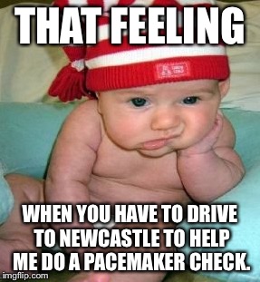 THAT FEELING; WHEN YOU HAVE TO DRIVE TO NEWCASTLE TO HELP ME DO A PACEMAKER CHECK. | image tagged in frustrated | made w/ Imgflip meme maker