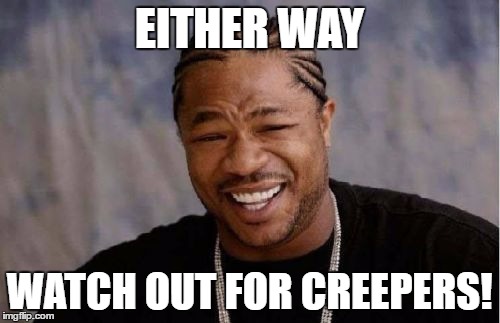 Yo Dawg Heard You Meme | EITHER WAY WATCH OUT FOR CREEPERS! | image tagged in memes,yo dawg heard you | made w/ Imgflip meme maker