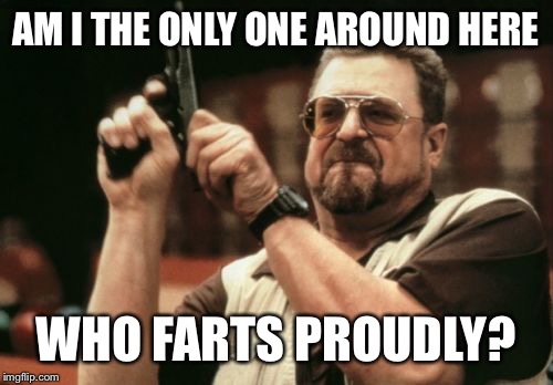 Am I The Only One Around Here | AM I THE ONLY ONE AROUND HERE; WHO FARTS PROUDLY? | image tagged in memes,am i the only one around here | made w/ Imgflip meme maker