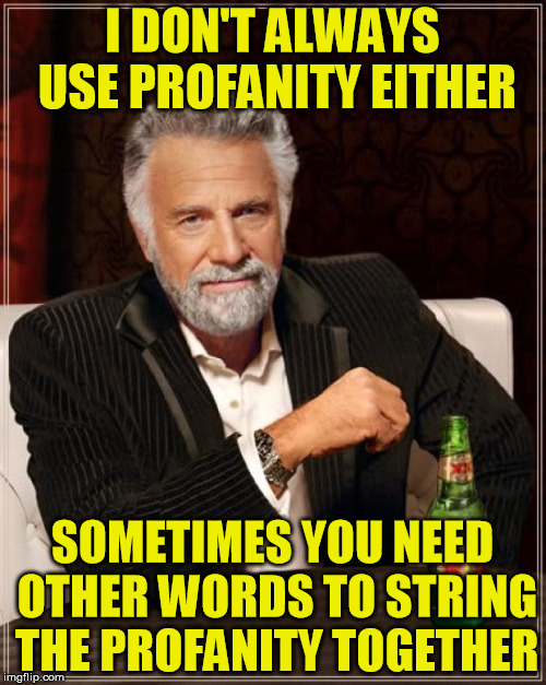 The Most Interesting Man In The World Meme | I DON'T ALWAYS USE PROFANITY EITHER SOMETIMES YOU NEED OTHER WORDS TO STRING THE PROFANITY TOGETHER | image tagged in memes,the most interesting man in the world | made w/ Imgflip meme maker