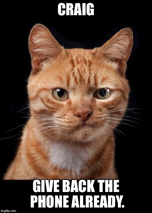 Frustrated Cat | CRAIG; GIVE BACK THE PHONE ALREADY. | image tagged in frustrated cat | made w/ Imgflip meme maker