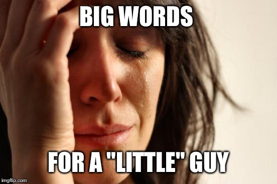 First World Problems | BIG WORDS; FOR A "LITTLE" GUY | image tagged in memes,first world problems | made w/ Imgflip meme maker