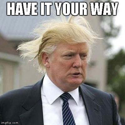 Donald Trump | HAVE IT Y0UR WAY | image tagged in donald trump | made w/ Imgflip meme maker