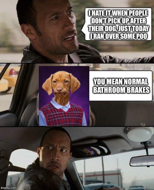 The Rock Driving Meme | I HATE IT WHEN PEOPLE DON'T PICK UP AFTER THEIR DOG, JUST TODAY I RAN OVER SOME POO; YOU MEAN NORMAL BATHROOM BRAKES | image tagged in memes,the rock driving | made w/ Imgflip meme maker