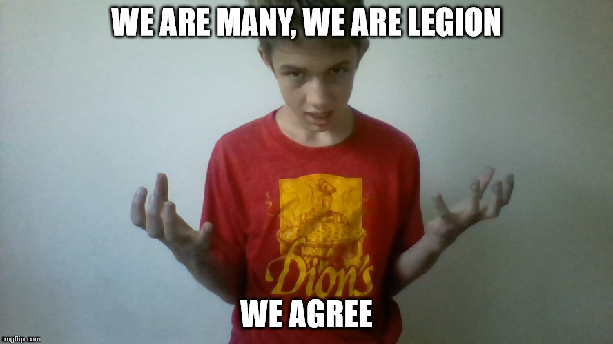 We are many we are legion kid | WE ARE MANY, WE ARE LEGION WE AGREE | image tagged in we are many we are legion kid | made w/ Imgflip meme maker