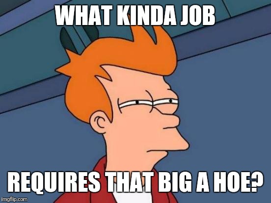 Futurama Fry Meme | WHAT KINDA JOB REQUIRES THAT BIG A HOE? | image tagged in memes,futurama fry | made w/ Imgflip meme maker