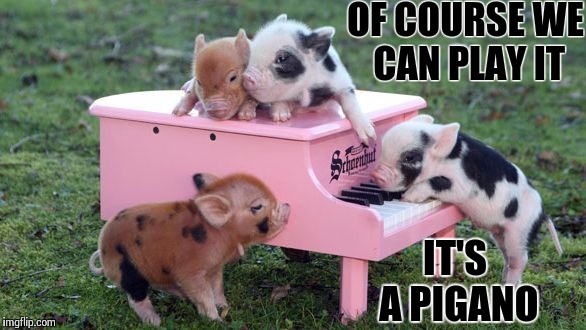 Performance Pigs  |  OF COURSE WE CAN PLAY IT; IT'S A PIGANO | image tagged in performance pigs | made w/ Imgflip meme maker