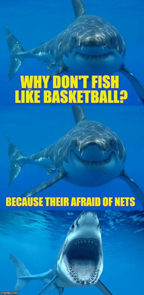 Bad Shark Pun  | WHY DON'T FISH LIKE BASKETBALL? BECAUSE THEIR AFRAID OF NETS | image tagged in bad shark pun | made w/ Imgflip meme maker