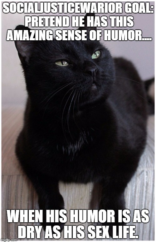 SOCIALJUSTICEWARIOR GOAL: PRETEND HE HAS THIS AMAZING SENSE OF HUMOR.... WHEN HIS HUMOR IS AS DRY AS HIS SEX LIFE. | made w/ Imgflip meme maker