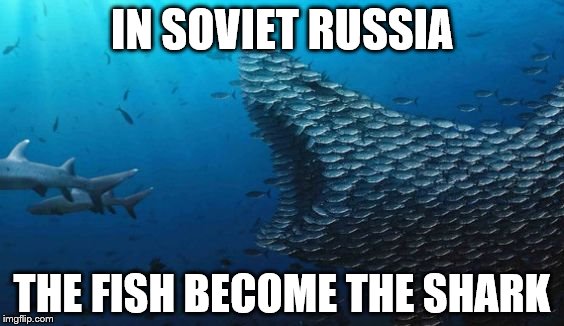 Fish Teamwork |  IN SOVIET RUSSIA; THE FISH BECOME THE SHARK | image tagged in fish teamwork | made w/ Imgflip meme maker