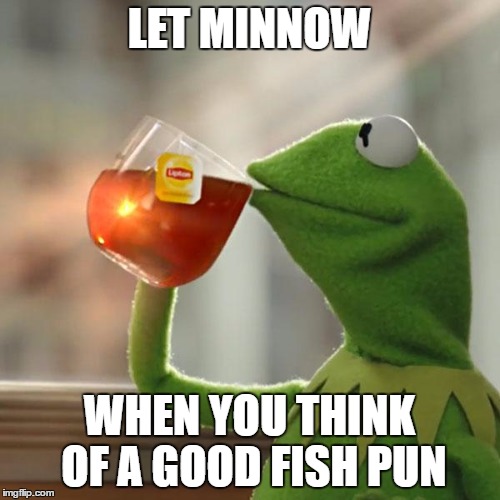 But That's None Of My Business Meme | LET MINNOW WHEN YOU THINK OF A GOOD FISH PUN | image tagged in memes,but thats none of my business,kermit the frog | made w/ Imgflip meme maker