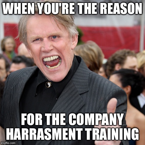 Gary Busey |  WHEN YOU'RE THE REASON; FOR THE COMPANY HARRASMENT TRAINING | image tagged in gary busey | made w/ Imgflip meme maker