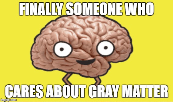 FINALLY SOMEONE WHO CARES ABOUT GRAY MATTER | made w/ Imgflip meme maker