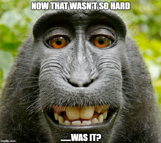 Pleasant baboon | NOW THAT WASN'T SO HARD; ......WAS IT? | image tagged in warm fuzzy,symmetrical teeth,pillssure,wrinkles my nose,nope,nobody warned us | made w/ Imgflip meme maker
