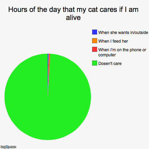 My cat cares | image tagged in funny,pie charts,cat | made w/ Imgflip chart maker