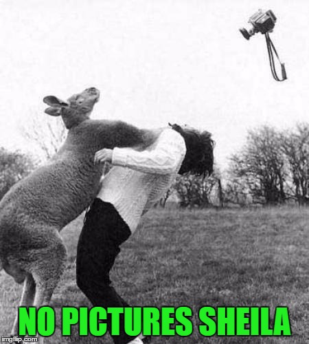 NO PICTURES SHEILA | made w/ Imgflip meme maker