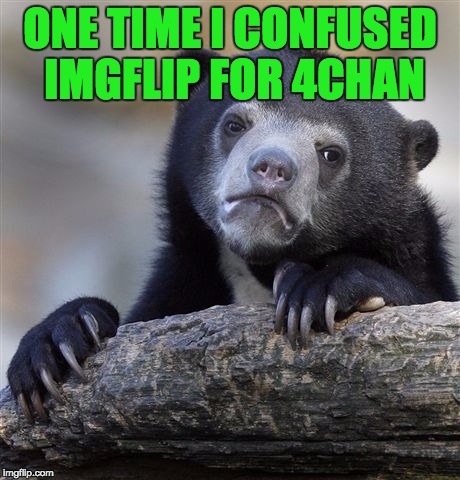 Are You Serious  | ONE TIME I CONFUSED IMGFLIP FOR 4CHAN | image tagged in memes,confession bear | made w/ Imgflip meme maker