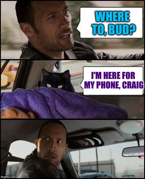 The Rock Driving Evil Cat | WHERE TO, BUD? I'M HERE FOR MY PHONE, CRAIG | image tagged in the rock driving evil cat | made w/ Imgflip meme maker