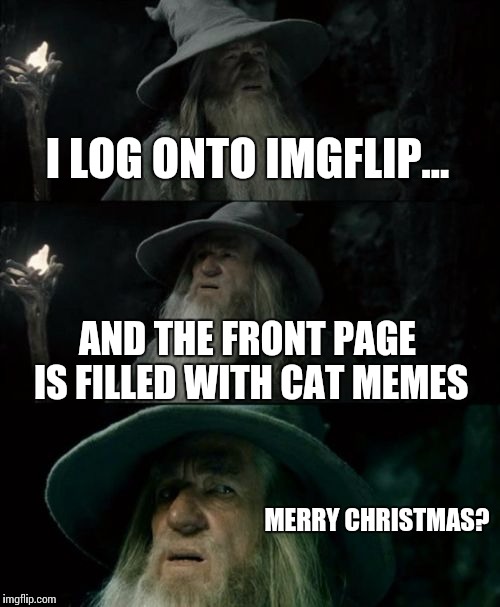 So many cats! | I LOG ONTO IMGFLIP... AND THE FRONT PAGE IS FILLED WITH CAT MEMES; MERRY CHRISTMAS? | image tagged in memes,confused gandalf,cat | made w/ Imgflip meme maker