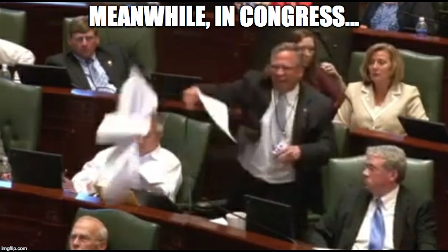 MEANWHILE, IN CONGRESS... | image tagged in congressional drama | made w/ Imgflip meme maker