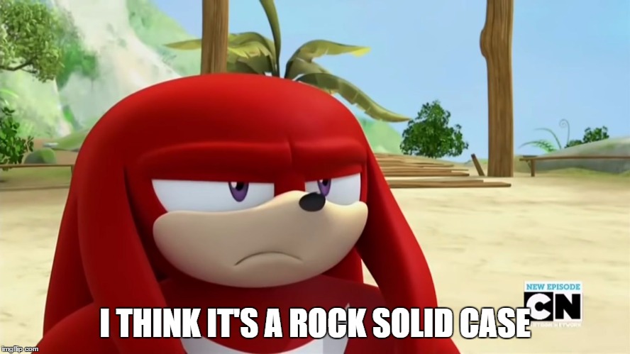 Knuckles is not Impressed - Sonic Boom | I THINK IT'S A ROCK SOLID CASE | image tagged in knuckles is not impressed - sonic boom | made w/ Imgflip meme maker