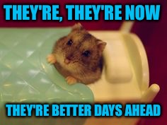 THEY'RE, THEY'RE NOW THEY'RE BETTER DAYS AHEAD | made w/ Imgflip meme maker