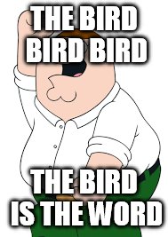 THE BIRD BIRD BIRD THE BIRD IS THE WORD | made w/ Imgflip meme maker