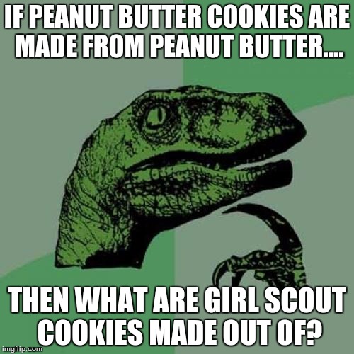 Philosoraptor Meme | IF PEANUT BUTTER COOKIES ARE MADE FROM PEANUT BUTTER.... THEN WHAT ARE GIRL SCOUT COOKIES MADE OUT OF? | image tagged in memes,philosoraptor | made w/ Imgflip meme maker