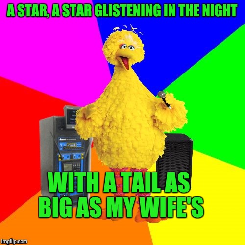 Wrong lyrics karaoke big bird | A STAR, A STAR GLISTENING IN THE NIGHT; WITH A TAIL AS BIG AS MY WIFE'S | image tagged in wrong lyrics karaoke big bird | made w/ Imgflip meme maker