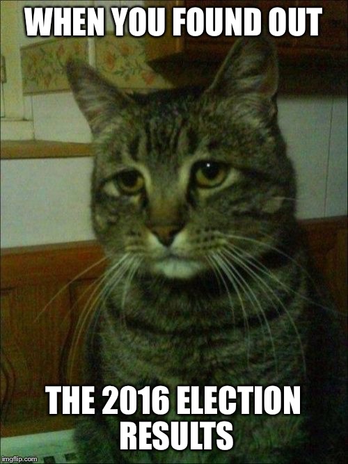 Depressed Cat | WHEN YOU FOUND OUT; THE 2016 ELECTION RESULTS | image tagged in memes,depressed cat | made w/ Imgflip meme maker