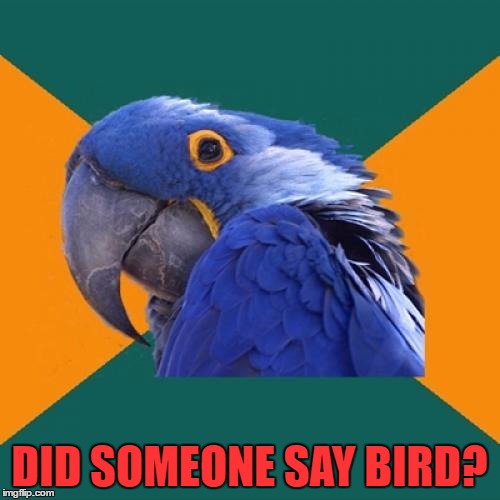 DID SOMEONE SAY BIRD? | made w/ Imgflip meme maker