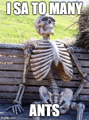 Waiting Skeleton | I SA TO MANY; ANTS | image tagged in memes,waiting skeleton | made w/ Imgflip meme maker