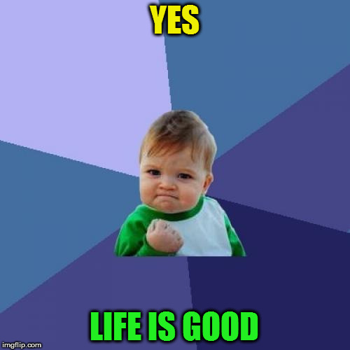Success Kid Meme | YES LIFE IS GOOD | image tagged in memes,success kid | made w/ Imgflip meme maker