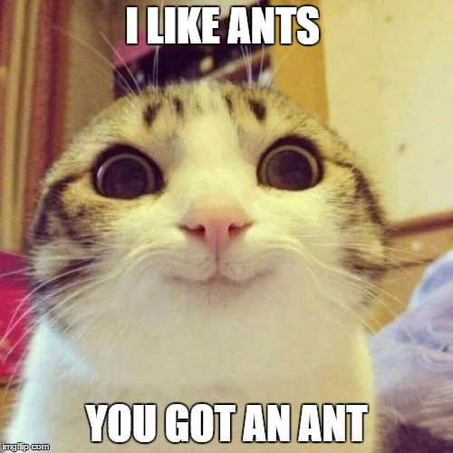 Smiling Cat | I LIKE ANTS; YOU GOT AN ANT | image tagged in memes,smiling cat | made w/ Imgflip meme maker