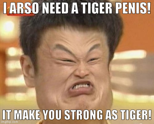 Impossibru-Guy-Original Squishy | I ARSO NEED A TIGER P**IS! IT MAKE YOU STRONG AS TIGER! | image tagged in impossibru-guy-original squishy | made w/ Imgflip meme maker