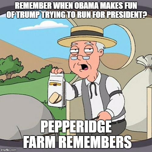 Pepperidge Farm Remembers Meme | REMEMBER WHEN OBAMA MAKES FUN OF TRUMP TRYING TO RUN FOR PRESIDENT? PEPPERIDGE FARM REMEMBERS | image tagged in memes,pepperidge farm remembers | made w/ Imgflip meme maker