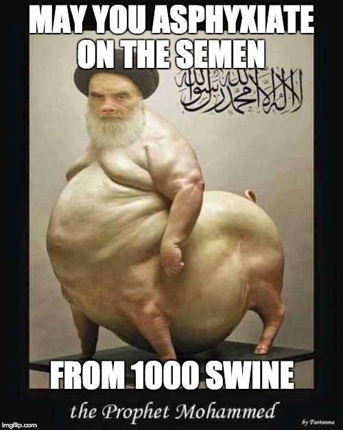 MAY YOU ASPHYXIATE ON THE SEMEN FROM 1000 SWINE | made w/ Imgflip meme maker