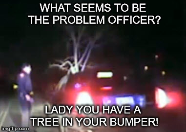 WHAT SEEMS TO BE THE PROBLEM OFFICER? LADY YOU HAVE A TREE IN YOUR BUMPER! | image tagged in what seems to be the problem officer | made w/ Imgflip meme maker