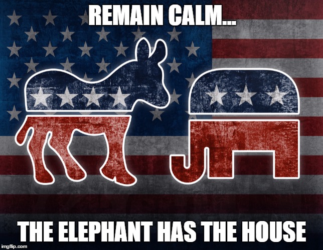 Elephant and Donkey | REMAIN CALM... THE ELEPHANT HAS THE HOUSE | image tagged in elephant and donkey | made w/ Imgflip meme maker