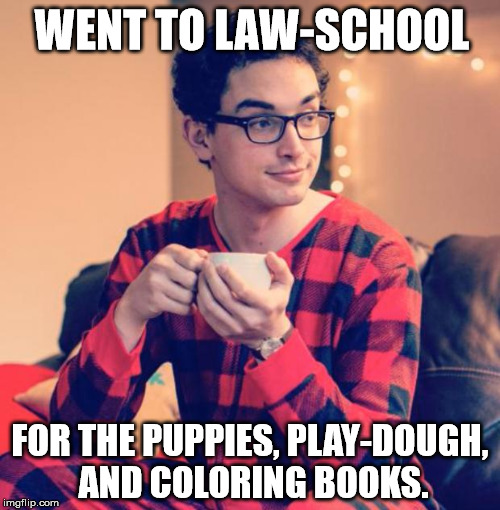 Pajama Boy | WENT TO LAW-SCHOOL; FOR THE PUPPIES, PLAY-DOUGH, AND COLORING BOOKS. | image tagged in pajama boy,memes,first world problems,political meme | made w/ Imgflip meme maker