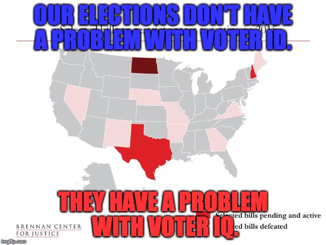 OUR ELECTIONS DON'T HAVE A PROBLEM WITH VOTER ID. THEY HAVE A PROBLEM WITH VOTER IQ. | image tagged in voter_id_voter_iq | made w/ Imgflip meme maker