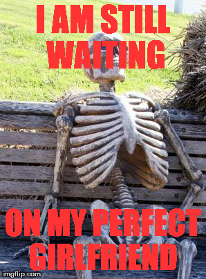 Waiting for soulmate | I AM STILL WAITING; ON MY PERFECT GIRLFRIEND | image tagged in memes,waiting skeleton | made w/ Imgflip meme maker